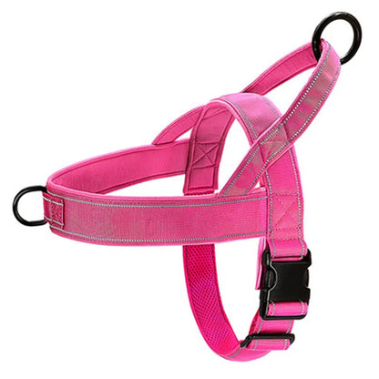 Dog Harness