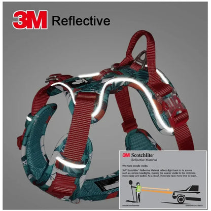 Special Edition Dog Harness