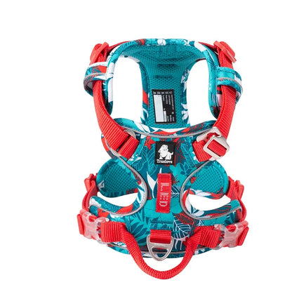 Special Edition Dog Harness