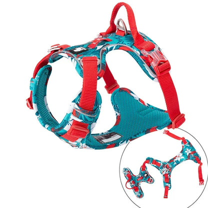 Special Edition Dog Harness