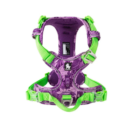 Special Edition Dog Harness